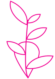 Curate Growth Icon
